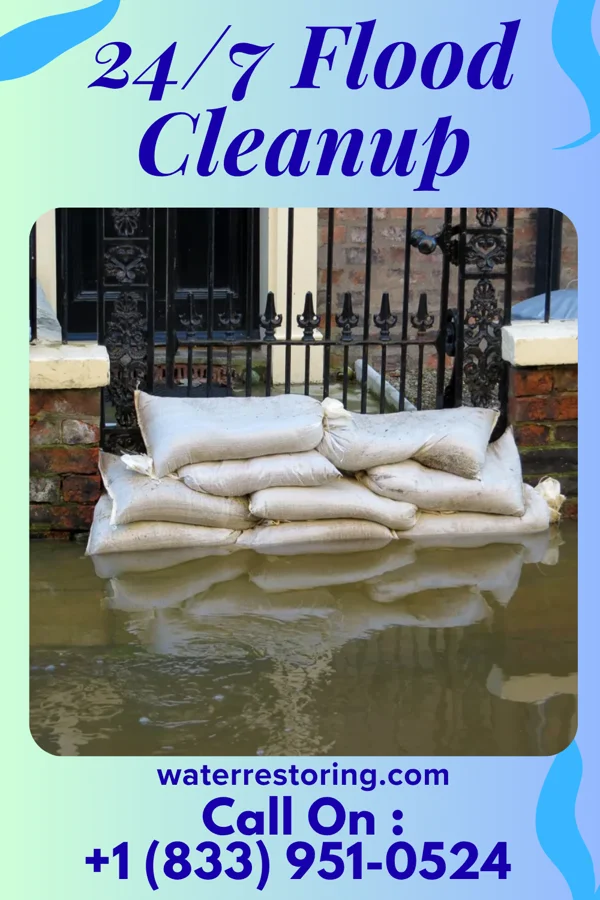 24/7 Flood Cleanup in Pasadena Hills, FL