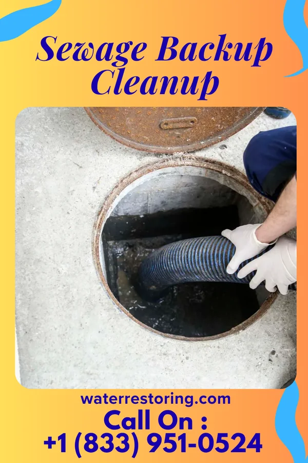 Sewage Backup Cleanup in Pasadena Hills, FL