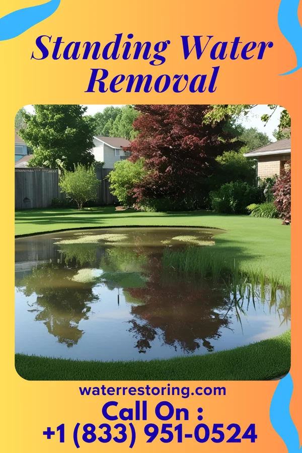 Standing Water Removal in Pasadena Hills, FL